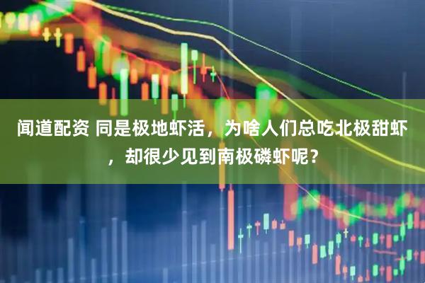 闻道配资 同是极地虾活，为啥人们总吃北极甜虾，却很少见到南极磷虾呢？